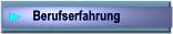 Berufserfahrung Details