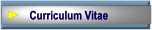 Visitar el Curriculum Vitae