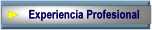 Detalles de la experiencia profesional